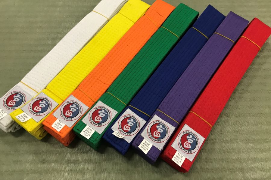 hapkido banden