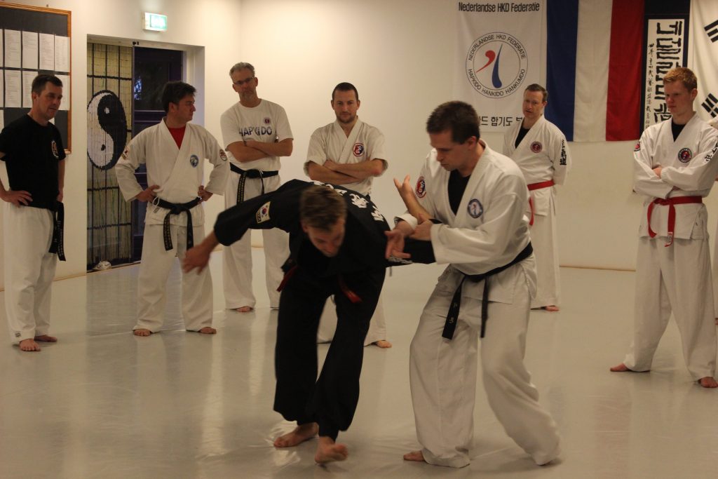 hankido training