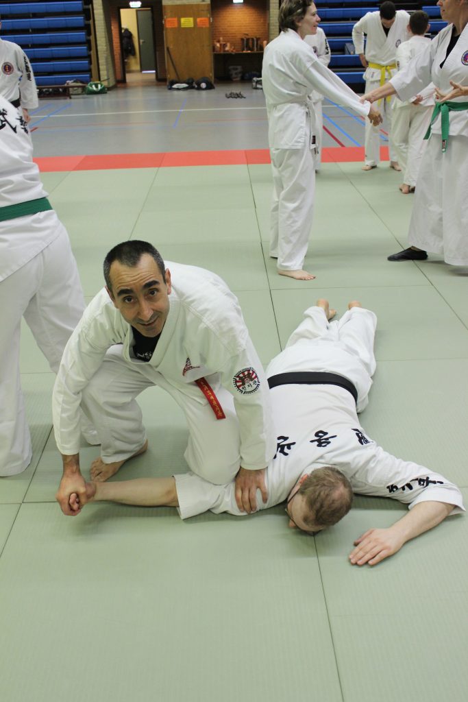 hapkido controle techniek