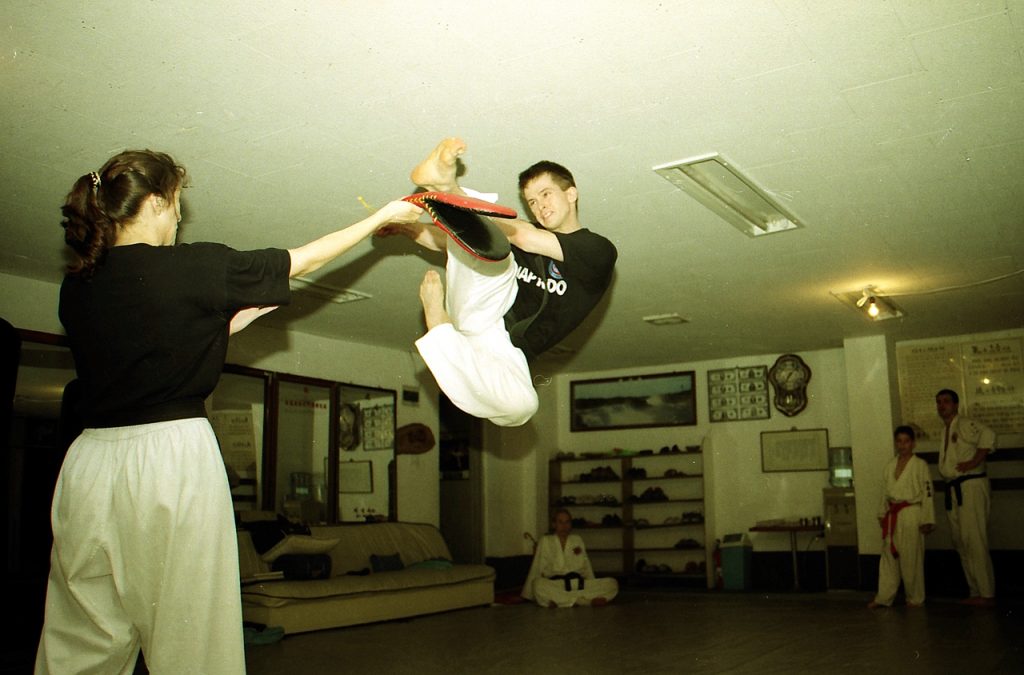 hapkido kick